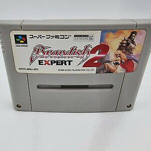 BRANDISH 2 EXPERT SUPER FAMICOM NO BOX USED
